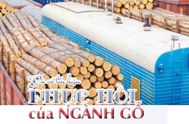 Đã có tín hiệu phục hồi của ngành gỗ